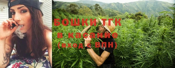 МДПВ Бородино