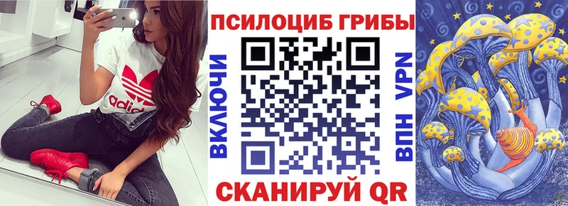 Псилоцибиновые грибы Psilocybe  маркетплейс состав  Кириши  цены  